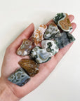8TH VEIN OCEAN JASPER TUMBLE (1st QUALITY) - 8th vein, Black Friday sale, emotional support, ocean jasper, pocket crystal, pocket stone, tucson update, tumble - The Mineral Maven