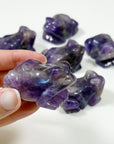 AMETHYST FROG