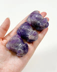AMETHYST FROG