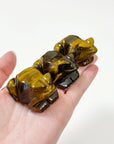 TIGER'S EYE FROG