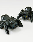 PICK YOUR OWN: ONYX SPIDER (MEDIUM)