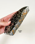 PICK YOUR OWN: STARDUST OBSIDIAN SLAB