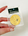 MUONIONLUSTA METEORITE COINS