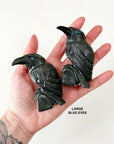 ONYX RAVEN