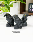 ONYX RAVEN