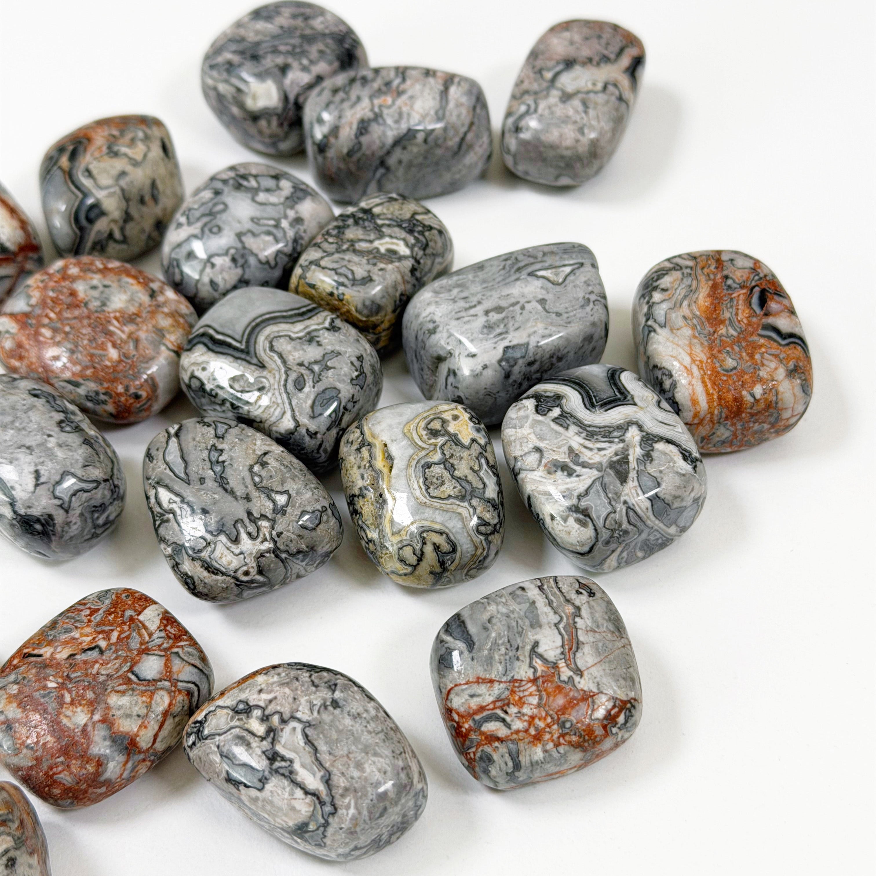 ★GWまで-2000円★Jasper　グッズ　即購入不可 CROCODILE JASPER TUMBLE - The Mineral Maven