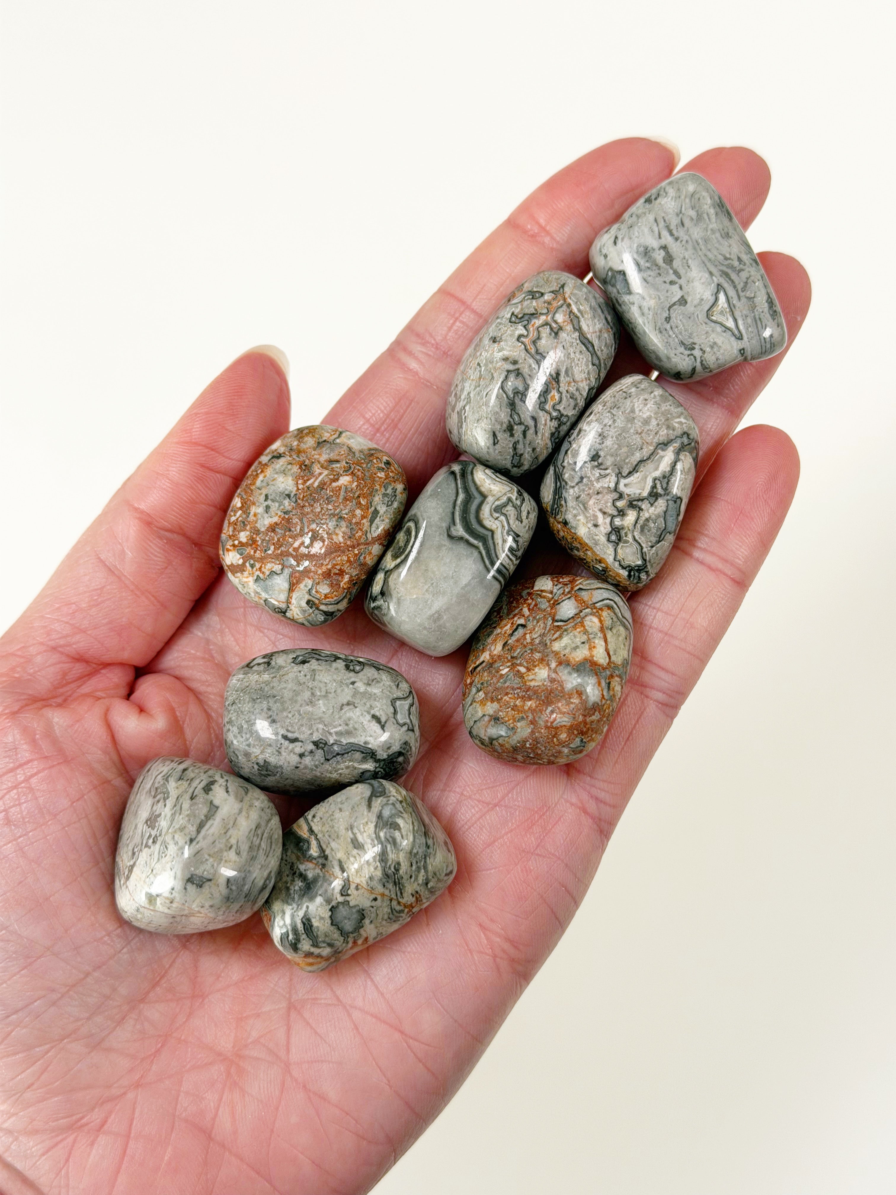 ★GWまで-2000円★Jasper　グッズ　即購入不可 CROCODILE JASPER TUMBLE - The Mineral Maven
