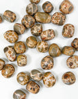 LEOPARDITE RHYOLITE CHONK