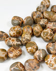 LEOPARDITE RHYOLITE CHONK