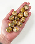 LEOPARDITE RHYOLITE CHONK