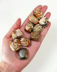 MONEY AGATE TUMBLE