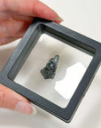 SIKHOTE-ALIN METEORITE 4