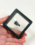 SIKHOTE-ALIN METEORITE 4