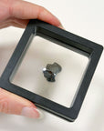 SIKHOTE-ALIN METEORITE 5