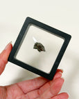 SERICHO METEORITE 2
