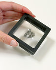 CAMPO DEL CIELO METEORITE