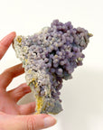 GRAPE AGATE 1