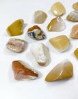 AGATIZED CORAL XL TUMBLE - agatized coral, Black Friday sale, coral, coral fossil, emotional support, fossil coral, pocket crystal, pocket crystals, pocket stone, tumble, tumbled, tumbled stone, tumbles - The Mineral Maven