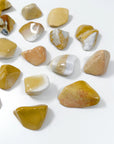 AGATIZED CORAL XL TUMBLE - agatized coral, Black Friday sale, coral, coral fossil, emotional support, fossil coral, pocket crystal, pocket crystals, pocket stone, tumble, tumbled, tumbled stone, tumbles - The Mineral Maven