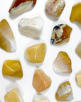 AGATIZED CORAL XL TUMBLE - agatized coral, Black Friday sale, coral, coral fossil, emotional support, fossil coral, pocket crystal, pocket crystals, pocket stone, tumble, tumbled, tumbled stone, tumbles - The Mineral Maven