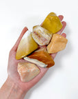 AGATIZED CORAL XL TUMBLE - agatized coral, Black Friday sale, coral, coral fossil, emotional support, fossil coral, pocket crystal, pocket crystals, pocket stone, tumble, tumbled, tumbled stone, tumbles - The Mineral Maven