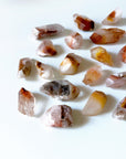 'ANGEL PHANTOM' AMPHIBOLE QUARTZ POINT - RAW - amphibole, amphibole quartz, angel phantom, Black Friday sale, february, quartz, raw crystal, raw point, raw stone, rough crystal, Rough Stone - The Mineral Maven