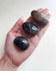 BLACK MOONSTONE PEBBLE - 2025 vibes, Black Friday sale, black moonstone, bulk, creativity, fertility, grounding, moonstone, new beginnings, new beginnings gift bundle, palm stone, pebble, pebbles, pocket crystal, protection, protection gift bundle, solar eclipse, spring equinox, spring things, taurus, taurus season, tumble - The Mineral Maven