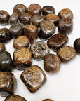 BRONZITE TUMBLE - Black Friday sale, bronze, bulk, pocket crystal, pocket crystals, pocket stone, protection gift bundle, tumble, tumbled stone, tumbles - The Mineral Maven