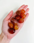 CARNELIAN TUMBLE - 33 bday, 444 sale, Black Friday sale, career, carnelian, crystals for beginners, emotional support, end of year sale, fertility, holiday sale, joy gift bundle, Leo szn, new year sale, pocket crystal, pocket stone, spring things, tumble, tumbled stone - The Mineral Maven