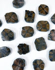 CHIASTOLITE - andalusite, Black Friday sale, chiastolite, cross stone, focus gift bundle, pocket crystal, pocket stone, polished, polished stone - The Mineral Maven
