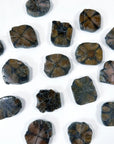 CHIASTOLITE - andalusite, Black Friday sale, chiastolite, cross stone, focus gift bundle, pocket crystal, pocket stone, polished, polished stone - The Mineral Maven