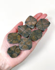 CHIASTOLITE - andalusite, Black Friday sale, chiastolite, cross stone, focus gift bundle, pocket crystal, pocket stone, polished, polished stone - The Mineral Maven