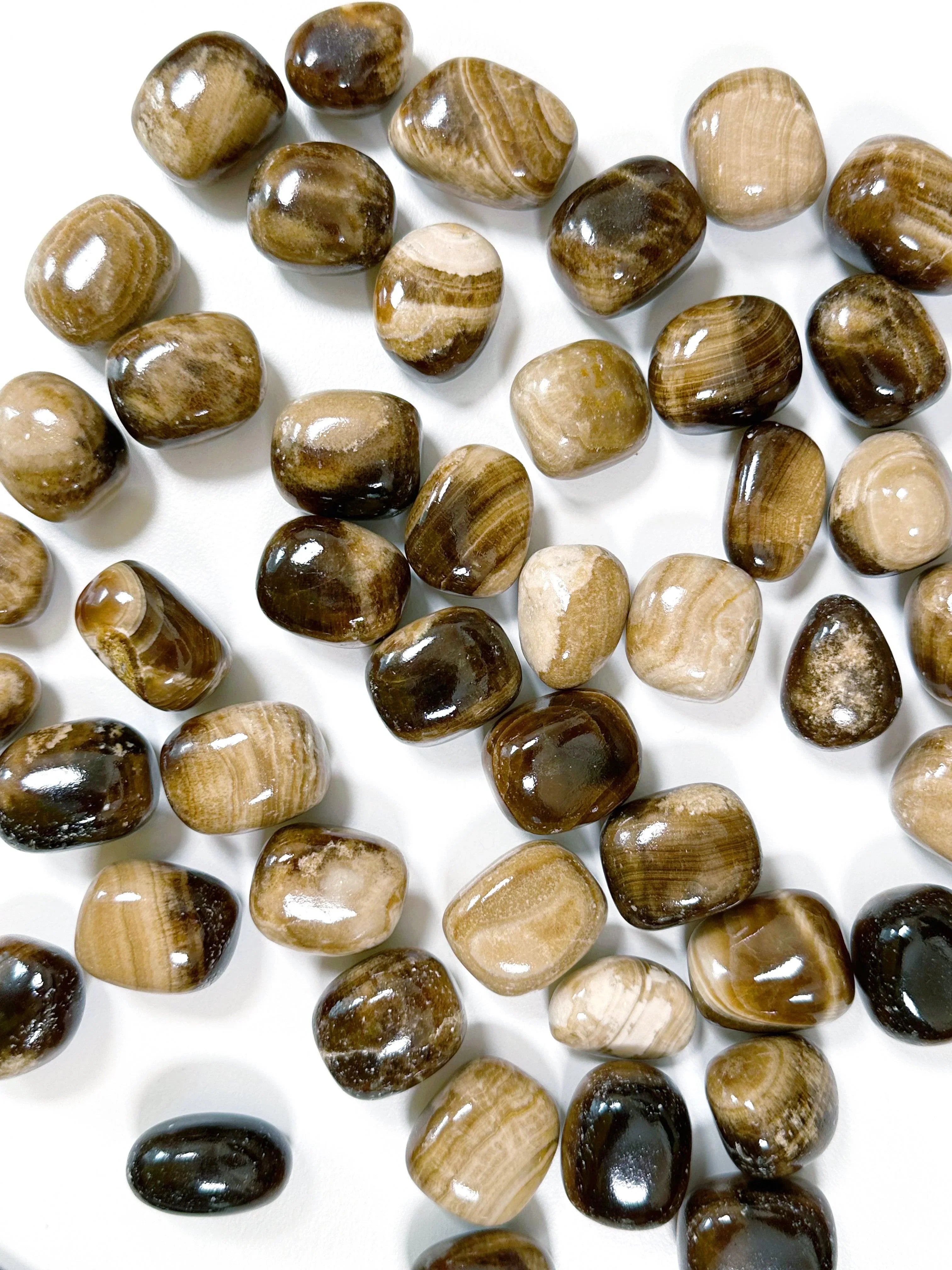 CHOCOLATE CALCITE CHONK - Black Friday sale, bulk, chocolate calcite, chonk, emotional support, focus gift bundle, pocket crystal, pocket stone, tumble, tumbled, tumbled stone, tumbles - The Mineral Maven