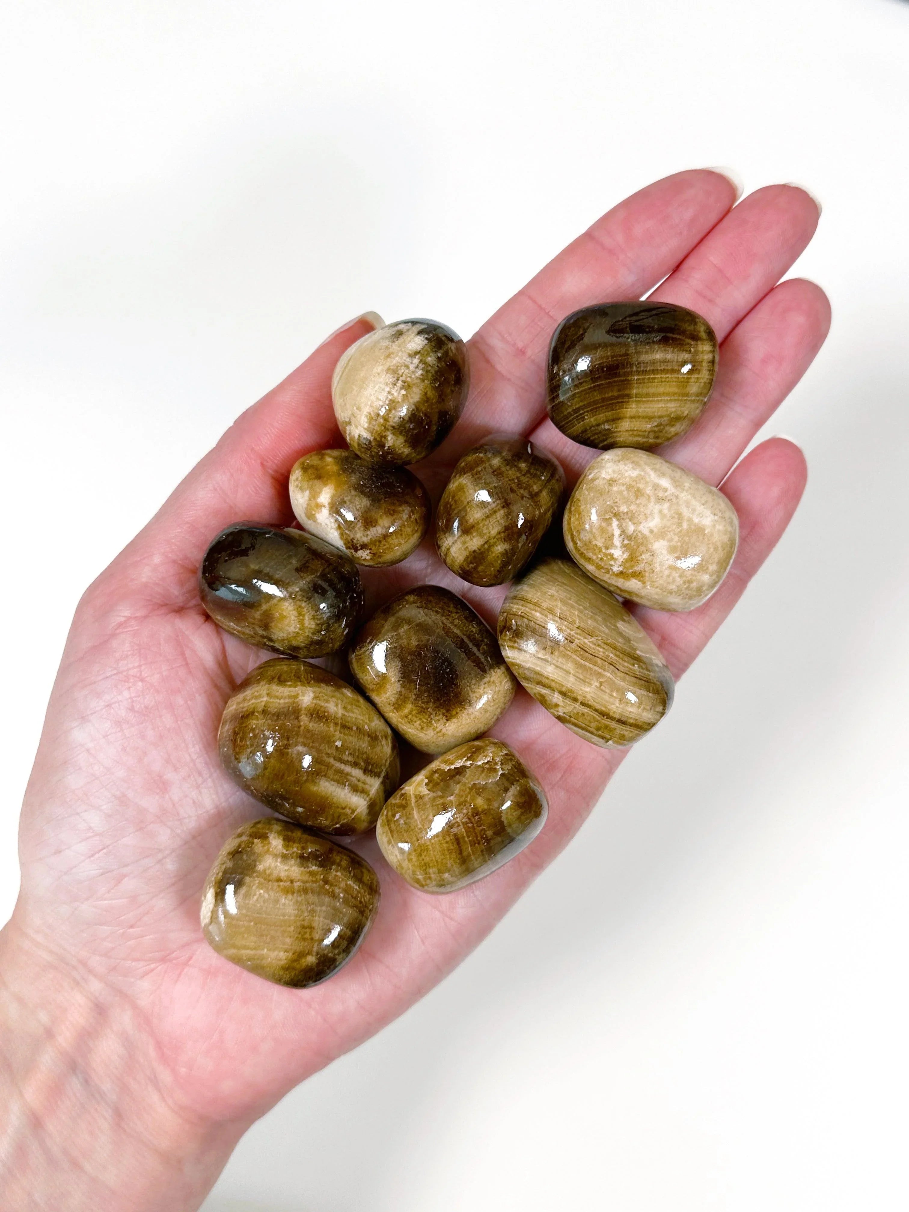 CHOCOLATE CALCITE CHONK - Black Friday sale, bulk, chocolate calcite, chonk, emotional support, focus gift bundle, pocket crystal, pocket stone, tumble, tumbled, tumbled stone, tumbles - The Mineral Maven