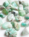 CHRYSOPRASE TUMBLE - Black Friday sale, bulk, chrysoprase, emotional support, fertility, green, joy gift bundle, pebbles, pocket crystal, tumbles - The Mineral Maven