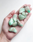 CHRYSOPRASE TUMBLE - Black Friday sale, bulk, chrysoprase, emotional support, fertility, green, joy gift bundle, pebbles, pocket crystal, tumbles - The Mineral Maven