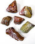DEAD CAMEL JASPER XL TUMBLE - 33 bday, 444 sale, Black Friday sale, brecciated jasper, dead camel jasper, emotional support, end of year sale, focus gift bundle, holiday sale, jasper, new year sale, pocket crystal, pocket stone, tumble - The Mineral Maven
