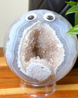 DRUZY AGATE SPHERE 3 - agate, Black Friday sale, druzy agate, googly agate, googly eye, googly eye agate, one of a kind, sphere, statement piece - The Mineral Maven
