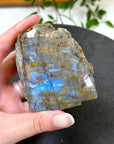 ELECTRIC BLUE MOONSTONE 1 (WISCONSIN) - Black Friday sale, blue moonstone, electric blue moonstone, moonstone, once in a blue moon, one of a kind, Wisconsin moonstone - The Mineral Maven