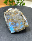 ELECTRIC BLUE MOONSTONE 1 (WISCONSIN) - Black Friday sale, blue moonstone, electric blue moonstone, moonstone, once in a blue moon, one of a kind, Wisconsin moonstone - The Mineral Maven