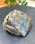 ELECTRIC BLUE MOONSTONE 1 (WISCONSIN) - Black Friday sale, blue moonstone, electric blue moonstone, moonstone, once in a blue moon, one of a kind, Wisconsin moonstone - The Mineral Maven