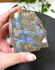 ELECTRIC BLUE MOONSTONE 1 (WISCONSIN) - Black Friday sale, blue moonstone, electric blue moonstone, moonstone, once in a blue moon, one of a kind, Wisconsin moonstone - The Mineral Maven