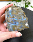 ELECTRIC BLUE MOONSTONE 1 (WISCONSIN) - Black Friday sale, blue moonstone, electric blue moonstone, moonstone, once in a blue moon, one of a kind, Wisconsin moonstone - The Mineral Maven
