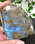 ELECTRIC BLUE MOONSTONE 1 (WISCONSIN) - Black Friday sale, blue moonstone, electric blue moonstone, moonstone, once in a blue moon, one of a kind, Wisconsin moonstone - The Mineral Maven