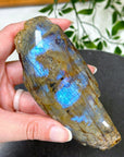 ELECTRIC BLUE MOONSTONE 2 (WISCONSIN) - Black Friday sale, blue moonstone, electric blue moonstone, moonstone, once in a blue moon, one of a kind, Wisconsin moonstone - The Mineral Maven