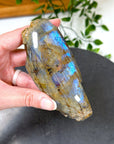 ELECTRIC BLUE MOONSTONE 2 (WISCONSIN) - Black Friday sale, blue moonstone, electric blue moonstone, moonstone, once in a blue moon, one of a kind, Wisconsin moonstone - The Mineral Maven