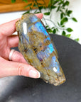 ELECTRIC BLUE MOONSTONE 2 (WISCONSIN) - Black Friday sale, blue moonstone, electric blue moonstone, moonstone, once in a blue moon, one of a kind, Wisconsin moonstone - The Mineral Maven