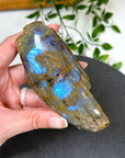 ELECTRIC BLUE MOONSTONE 2 (WISCONSIN) - Black Friday sale, blue moonstone, electric blue moonstone, moonstone, once in a blue moon, one of a kind, Wisconsin moonstone - The Mineral Maven