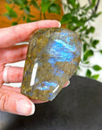 ELECTRIC BLUE MOONSTONE 3 (WISCONSIN) - Black Friday sale, blue moonstone, electric blue moonstone, moonstone, once in a blue moon, one of a kind, Wisconsin moonstone - The Mineral Maven