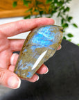 ELECTRIC BLUE MOONSTONE 3 (WISCONSIN) - Black Friday sale, blue moonstone, electric blue moonstone, moonstone, once in a blue moon, one of a kind, Wisconsin moonstone - The Mineral Maven